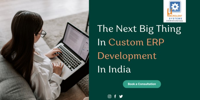 best custom erp development company in india 2023
